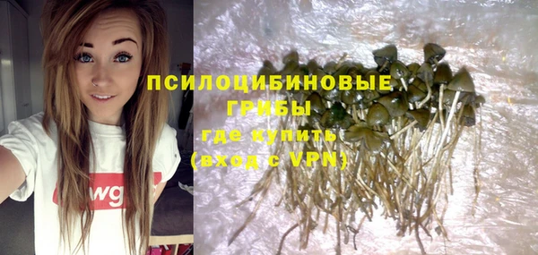 таблы Аркадак